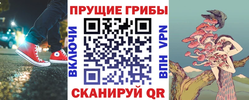 Галлюциногенные грибы Cubensis  Медынь 